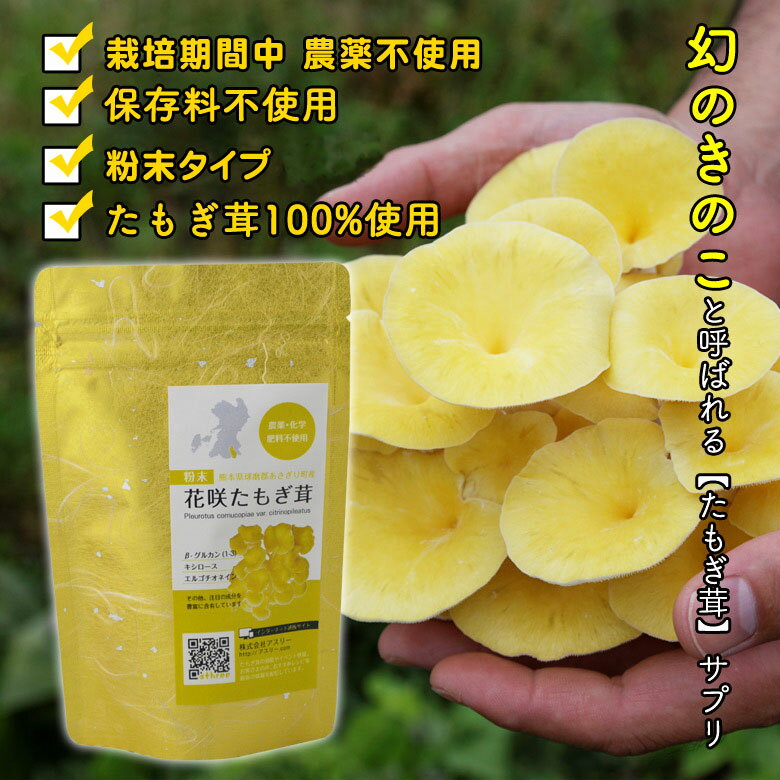 ʴ�����ֺ餿�⤮�� ���르�����ͥ��� ���⤮�� ���⥮���� ���ܸ���������Į�� �� ���⤮�� ���Τ��Τ� �������Τ� ���ꥷ�� ���ߥλ� �򹯿���