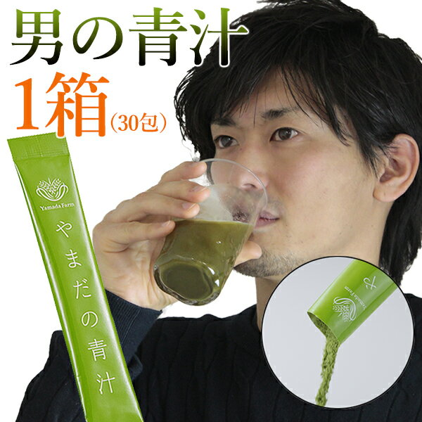 男の美容青汁【やまだの青汁 NATURAL AOJIRU 30包 1ヶ月分 】青汁 抹茶 メンズ 飲みやすい 美味しい 青汁 1杯で1日分の野菜　食物繊維たっぷりでダイエット 酵素