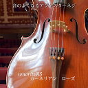 チェロ アジャスターネジ 「ソノリテAS 」カーネリアン アジャスター ネジ チェロ用 テールピース ソノリテ アクセサリー プレゼント 弦楽器 楽器 音色 音域 チェロアクセサリー 楽器用 弦楽器用 プロ用 ソノリテ アクセサリーパーツ ブランド 音質 部品