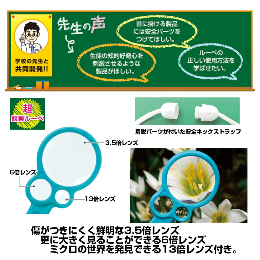 サンプル画像2