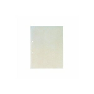 透明ポケット A4 2穴 1パック10枚入 キングジム /EC-103KINGJIM