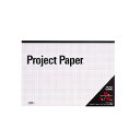 プロジェクトペーパー レポート用