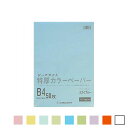 【25日11時~5時間限定P5倍】ブ厚い!カラーコピー・PPC用紙 リッチライト特厚カラーペーパー B4 1冊50枚入 オストリッチダイヤ/EC-TC-B4