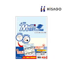 【25日11時~5時間限定P5倍】ヒサゴ マルチプリンタ帳票 A4 カラー 100枚
