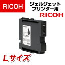 RICOH GXカートリッジ GC31K Lサイズ 515747 ブラック(2)
