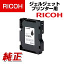 RICOH SGȥå GC41K 515807 ֥å