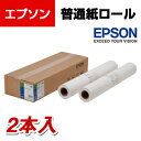 【25日11時~5時間限定P5倍】EPSON 普通紙ロール 薄手 A0サイズ 2本入