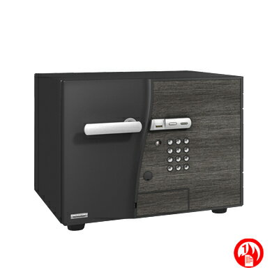 【エーコー】家庭用 小型 耐火金庫 指紋認証 テンキー式 プッシュ式 ダブルロック オシャレ ブラック/DFS2-FE