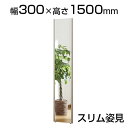 割れない鏡 リフェクスミラー スリム姿見 幅300×厚さ21.5×高さ1500mm 軽い 安全 学校 病院 施設 教室|詳細画像