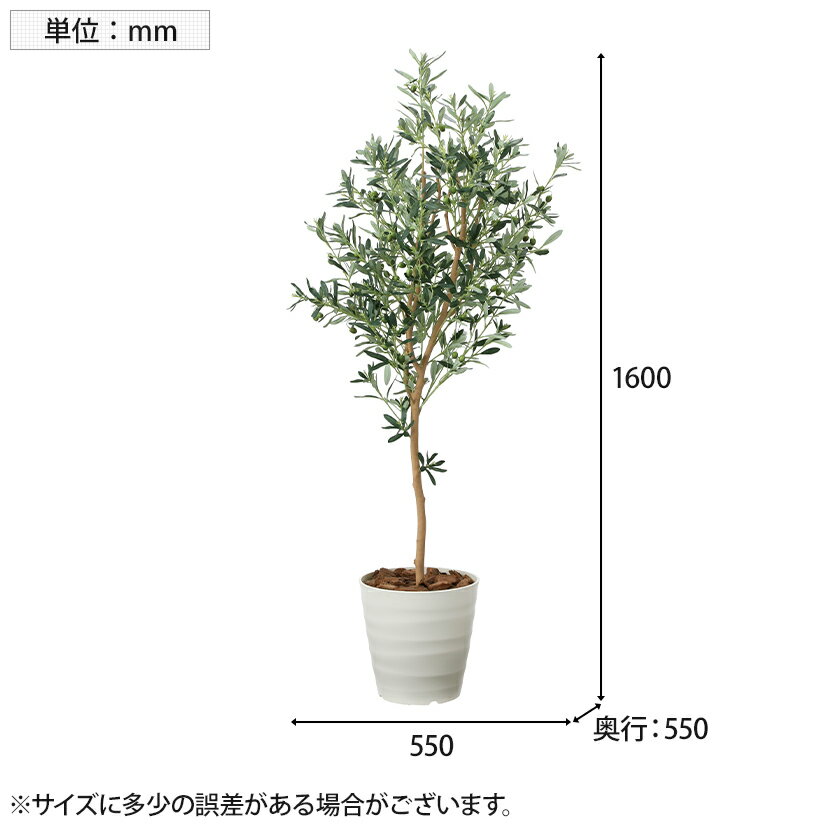 Socia オリーブツリー1 6 フェイクグリーン 観葉植物 インテリア 日本製 光触媒加工 V Cat採用 人工観葉植物 抗菌 消臭 抗菌 防汚 ホルムアルデヒド分解 幅550 奥行550 高さ1600mm G Ovt16人工植物 フェイク 鉢 おしゃれ 観葉 植物 室内 グリーン インテリア 人工観葉