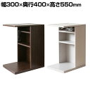【5日11時〜5時間限定P5倍】ソファサイドテーブル Porte(ポルテ) 幅300×奥行400×高さ550mm マガジンスタンド ブックラック