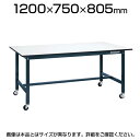 サカエ 軽量作業台 移動式 作業机 SELタイプ 均等耐荷重150kg ゴムキャスター 幅1200×奥行750×高さ805mm SEL-1275PR