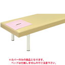 有孔フェイスカバー TB-485(4)