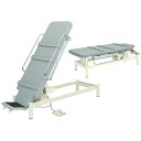 ◇サイズ選択有◇トレーニング 運動療法台 電動チルトRタイプ TB-653 マッサージベッド 施術用ベッド 施術ベッド 電動ベッド 訓練台 リハビリ台 エステ ...