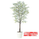 観葉植物 人工 樹木 ベンジャミナスターライトトリプル 高さ2000mm Lサイズ 鉢:RP-300