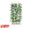 観葉植物 人工 樹木 フィッカスベンジャミナパーテーション 高さ1500mm Mサイズ 鉢:ガーデンペット(4)