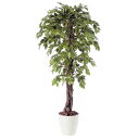 観葉植物 人工 樹木 ベンジャミナスプラッシュリアナ 高さ1800mm Lサイズ 鉢:RP-300