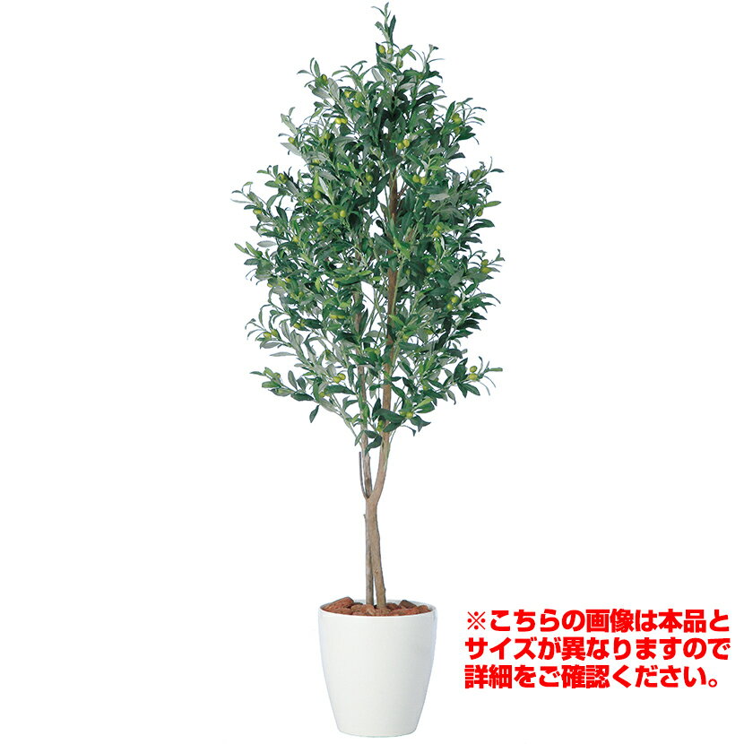 観葉植物 人工 樹木 ライプオリーブデュアル 高さ2000mm Lサイズ 鉢:RP-300