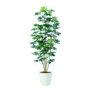 観葉植物 人工 樹木 シェフレラ 高さ1800mm Lサイズ 鉢:RP-300