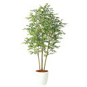 予定観葉植物 人工 樹木 ゴールデンリーフ FST 高さ1800mm Lサイズ 鉢:RP-300