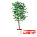 観葉植物 人工 樹木 アカシアデュアル 高さ2000mm Lサイズ 鉢:RP-300