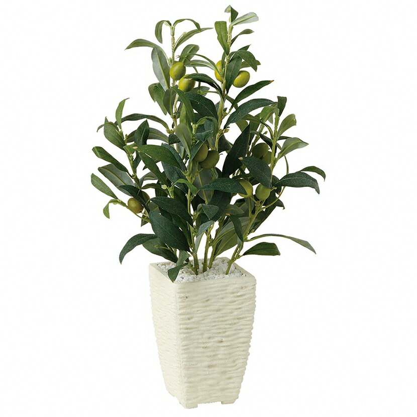観葉植物 人工 樹木 ライプオリーブ 高さ400mm Pサイズ 鉢:Pスクエア(WH)