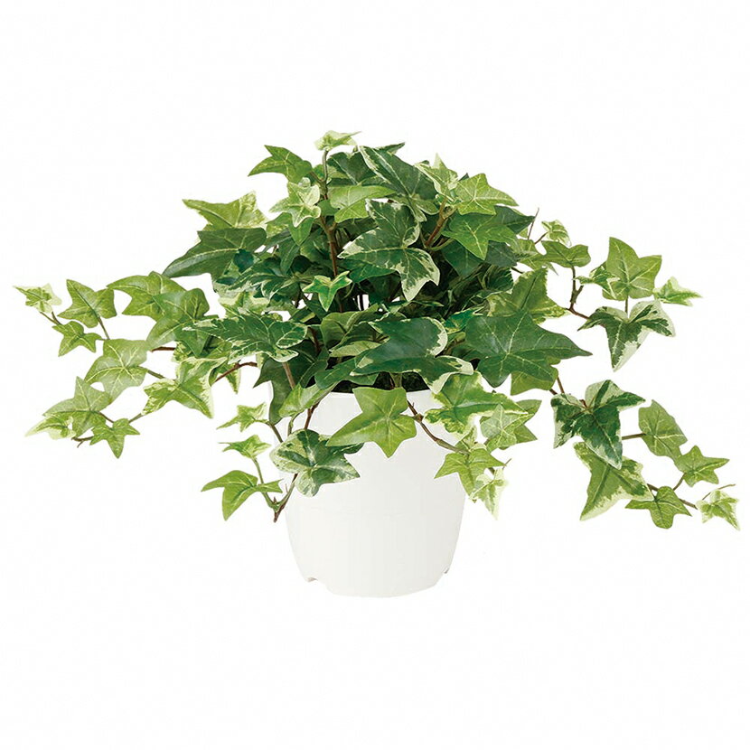 観葉植物 人工 樹木 セージアイビー 高さ300mm Pサイズ 鉢:CV-05