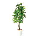 観葉植物 人工 樹木 アルテシマ 高さ1800mm Lサイズ 鉢:RP-300