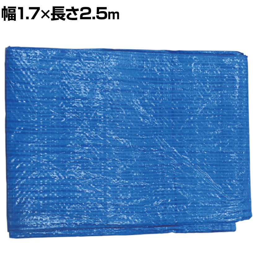 ユタカメイク 薄手ブルーシート 幅1.7×長さ2.5m 短期使用(使い捨て)タイプです。 商品について サイズ外寸 / 幅1.7×長さ2.5m厚さ / 0.22mmハトメ内径 / 12mm 重量0.28kg 材質シート / ポリエチレン(P...