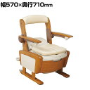 ウェルファン ポータブルトイレ シャワピタ ひじ掛けはねあげL 介護 ポータブルトイレ 木調 家具調 トイレ 在宅介護 高齢者 介護用品 福祉用具