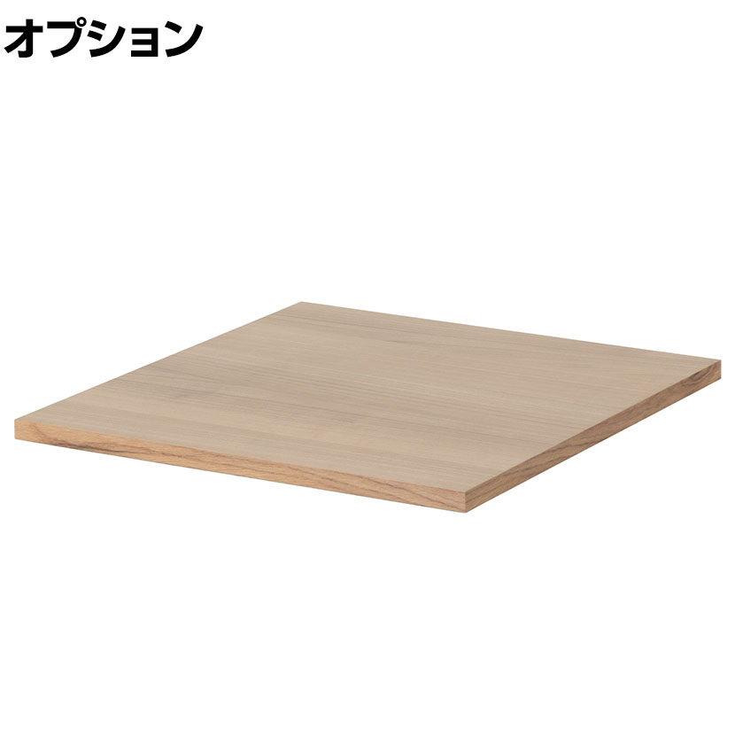 Work Plus JUNGLE-GYM SHELF BOARD ジャングルジムシェルフ専用ボード 棚板