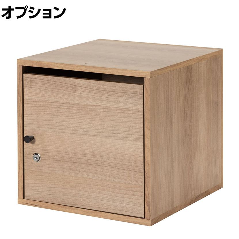 Work Plus JUNGLE-GYM SHELF LOCKER ジャングルジムシェルフ専用ロッカー 鍵付き 幅376×奥行400×高さ377mm