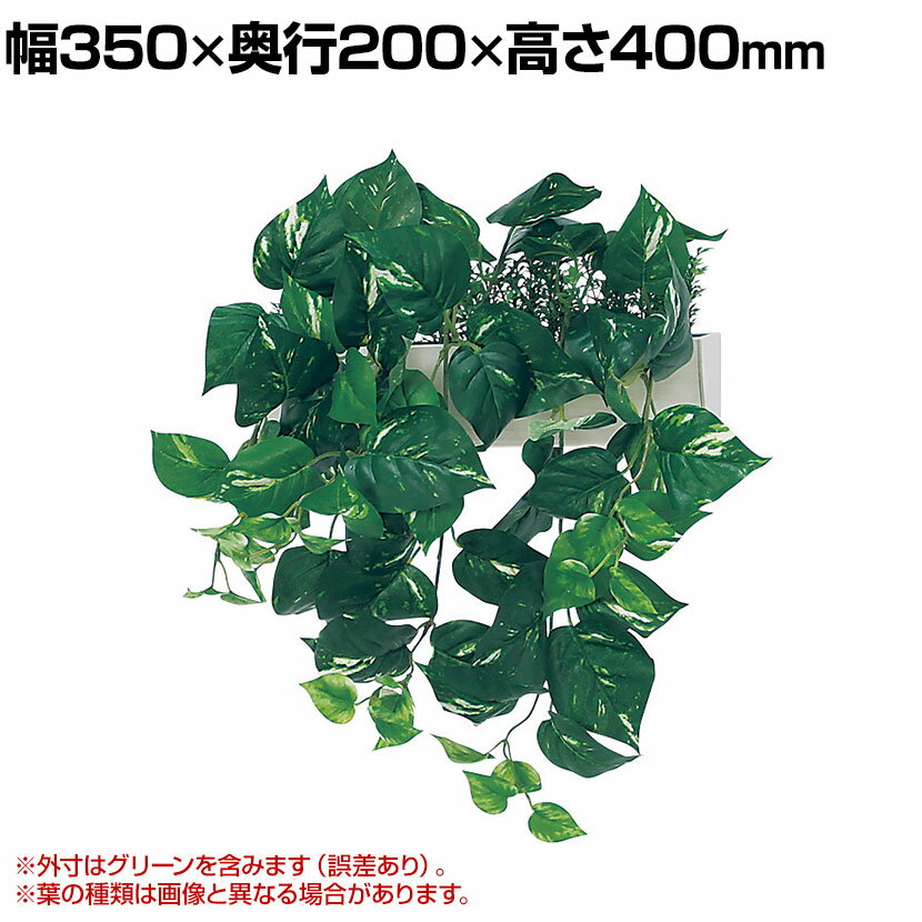 ベルク フェイクグリーン インテリアグリーン 幅350mm ハンギングポット パーテーションポット 観葉植物 人工 造花 GR4429 ・既存のパーテーションに設置する、しだれポット。・付属の専用フックで簡単に引っ掛けられます。・パーテーションの厚みに合わせて設置できます。 商品について サイズ(本体)外寸 / 幅350×奥行200×高さ400mmポット / 幅300×奥行68×高さ80.5mm※外寸法はグリーンを含んだ総外寸法です。サイズに多少の誤差がある場合がございます。 重量0.6kg 材質本体 / アルミ押出材木目シート貼り仕上げ、樹脂キャップパーテーションフック / スチール焼付塗装装飾 / 造花、5.5mmベニヤシート貼り、ハッポー 生産国日本 梱包数1 梱包サイズ幅330×奥行280×高さ180mm 梱包重量0.9kg 組み立て完成品 備考付属品 / パーテーションフック×2個(対応厚1〜55mm) ご注意・写真はイメージです。葉の種類は異なる可能性があります。・こちらの商品は屋内使用を目的としたインドア用商品のため、屋内でのご使用をお願いいたします。・高温や湿気、乾燥の著しい場所は、変形や変色、カビの原因になりますので避けてください。・ストーブやエアコンなどの熱や風が直接当たる場所は、変形や変色の原因になりますので避けてください。・その他、製品に付属している取扱説明書を良くお読みの上ご使用ください。 配送について お届け日についてこの商品は手作業による受注生産の為、複数注文や出荷量の多い時期などは到着日が変動する場合があります。・2〜5台ご注文の場合：7営業日以内発送・6台以上ご注文の場合：10営業日以上(※詳細な日数については事前にお問い合わせください)日曜祝日配送不可。 時間指定についてお時間のご指定は出来ません。 配送費用について配送費無料(※沖縄・離島は別途送料) 備考こちらの商品は軒先渡し(玄関先へのお届け)となります。 ご注意受注生産品のため、ご注文後のキャンセルははお受けできません。予めご了承ください。お届け先に配送トラック(2t〜4t)が進入できない場合はチャーターでの配送となり、別途費用が発生いたします。ご注文前に搬入経路・間口の確認をお願い致します。※大口注文の場合もチャーターでの配送となり、別途費用が発生いたしますのでご了承ください。