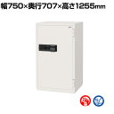 耐火金庫 CSGシリーズ 顔認証FF式 AI認証システム搭載 マルチロック AI顔認証+ICカード認証+テンキー リロッキング機能搭載 368kg 266L CSG-93FF 【エーコー】