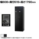 2人用 スチールロッカー スリム 鍵付き ダイヤル錠 スチール スタンダード 業務用 幅608×奥行515×高さ1790mm 【国産】 【完成品】 / TLK-...