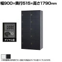 スチールロッカー 深型 10人用 鍵付き ダイヤル錠 スチール スタンダード 業務用 幅900×奥行515×高さ1790mm 【国産】 【完成品】 / TLK-...