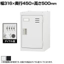 個人用スリムロッカー 深型 スチールロッカー ワイド 鍵付き ダイヤル錠 スチール 業務用 幅316×奥行450×高さ500mm 【国産】 【完成品】 / TL...