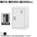個人用スリムロッカー 深型 スチールロッカー ワイド 鍵付き 内筒交換錠 スチール 業務用 幅316×奥行450×高さ500mm 【国産】 【完成品】 / TL...