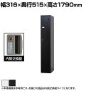 1人用 スチールロッカー スリム 鍵付き 内筒交換錠 スチール スタンダード 業務用 幅316×奥行515×高さ1790mm 【国産】 【完成品】 / TLK-...