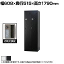 2人用 スチールロッカー スリム 鍵付き 内筒交換錠 スチール スタンダード 業務用 幅608×奥行515×高さ1790mm 【国産】 【完成品】 / TLK-...