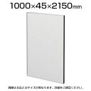 TFパネル(光触媒スチール) TF-1021HS W6 幅1000×奥行45×高さ2150mm(3)