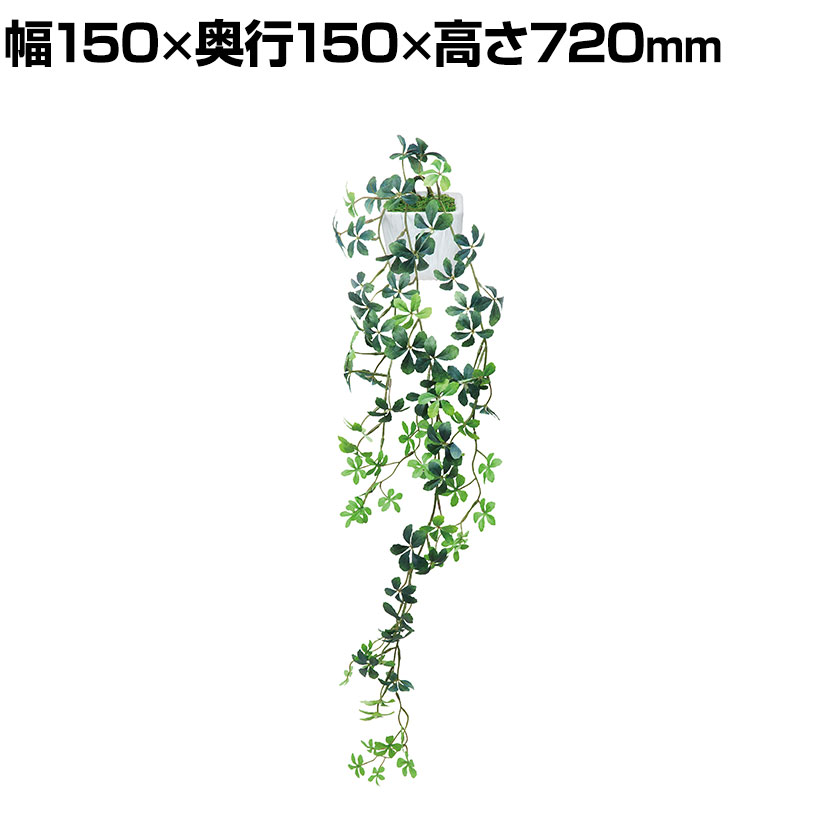 アートクリエイション 観葉植物 壁掛けシュガ-バイン フェイクグリーン 光触媒加工 528K65オフィスグリーン グリーンインテリア 観葉植物 フェイク インテリアグリーン