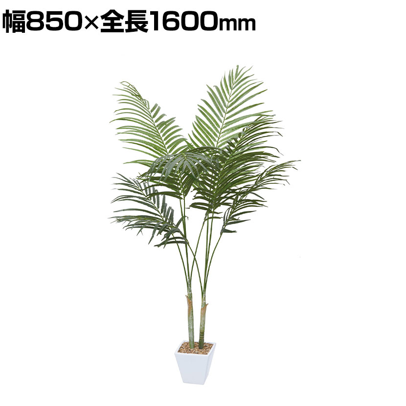 ݥԡ տʪ 쥫ѡ ե꡼ GLA-1369GRե꡼ ꡼󥤥ƥꥢ տʪ ե ƥꥢ...