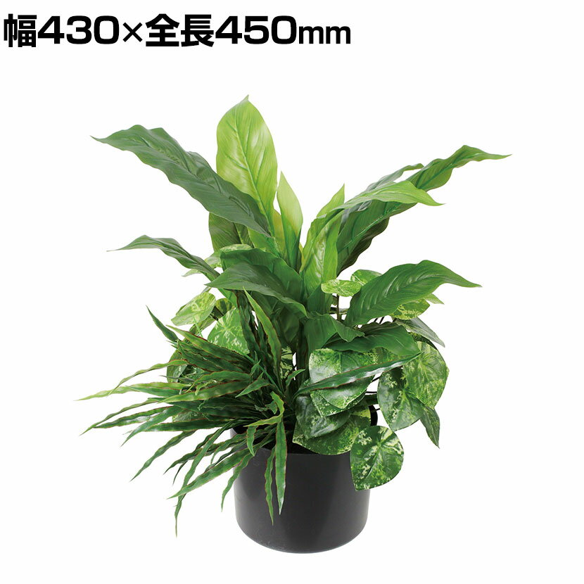 ポピー 観葉植物 人工樹木 スパティフィラムミックスグリーンポット 卓上グリーンポット 幅430×全長450mm フェイクグリーン 葉 造花 インテリア オフィス 商品について サイズ(本体)幅430×全長450mm サイズ(その他)鉢 / 幅165×奥行165×高さ150mm 材質本体 / ポリエステル、ポリエチレン(PE)、鉄、ポリアミド(PA)、ポリスチレン(PS)鉢 / ポリプロピレン(PP) 梱包数1 梱包サイズ幅550×奥行550×高さ500mm 梱包重量3kg 組み立て完成品 配送について お届け日についてお届け日の指定はできますが(日曜祝日以外)、時間指定はお受けできません。 配送費用について配送費無料 備考こちらの商品は軒先渡しとなります。 ご注意※沖縄・離島への配送不可。