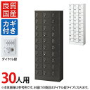 【国産】【完成品】 パーソナルロッカー 個人ロッカー 貴重品ロッカー 貴重品ボックス ロッカー 30人用 3列10段 小物入れロッカー かぎ付き 鍵付き 鍵 ダ...