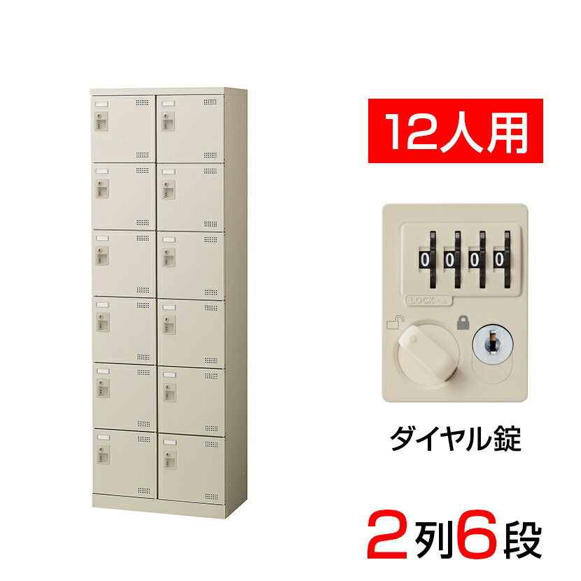 【完成品】【日本製】 シューズボックス 下駄箱 2列6段12人用 ダイヤル錠 スチール製 SLB-2