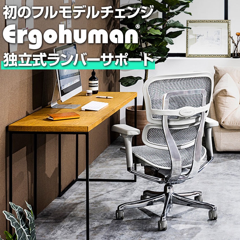 エルゴヒューマン プロ2 Ergohuman PRO2 ロータイプ 高機能 メッシュチェア オフィスチェア パソコンチェア デスクチェア ワークチェア..