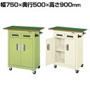 サカエ パネルワゴン天板付き(ゴム車) PMW-7ANT 幅750×奥行500×高さ900mm 均等耐荷重150kg