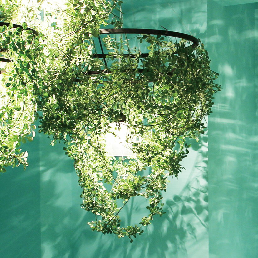 楽天市場】木漏れ日 ライト（ライト・照明器具｜インテリア