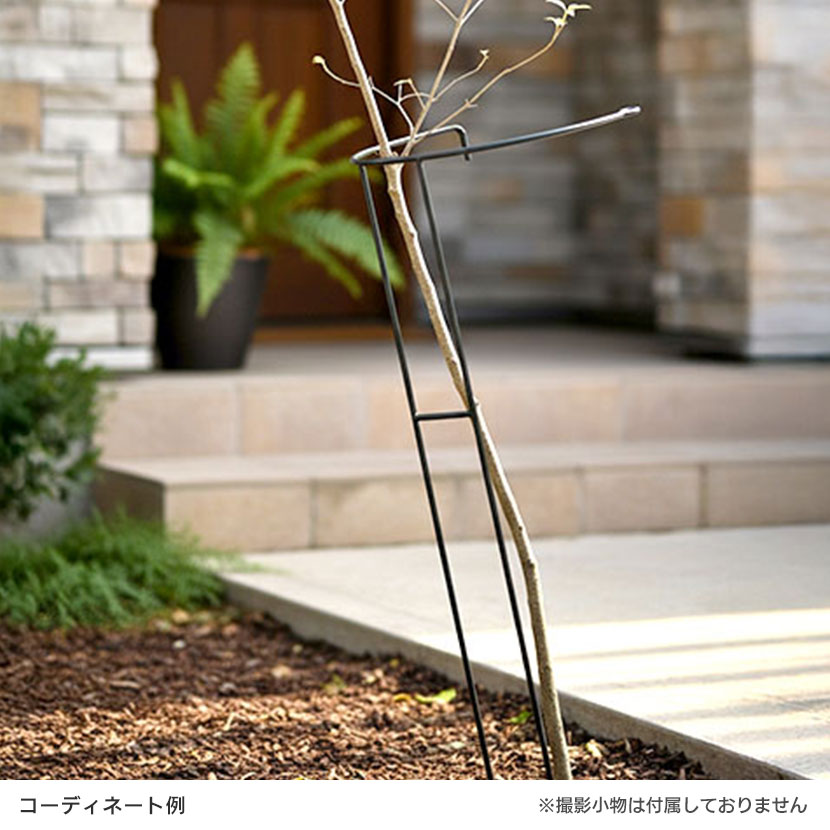 【4本セット】アイアン製植物サポーター 花ささえ 園芸支柱 倒れ防止 広がり 庭 ガ...